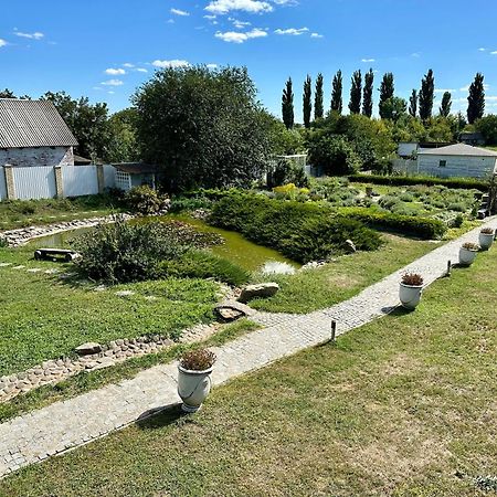 Maison Blanche Ecohousе Mytnitsa Экстерьер фото