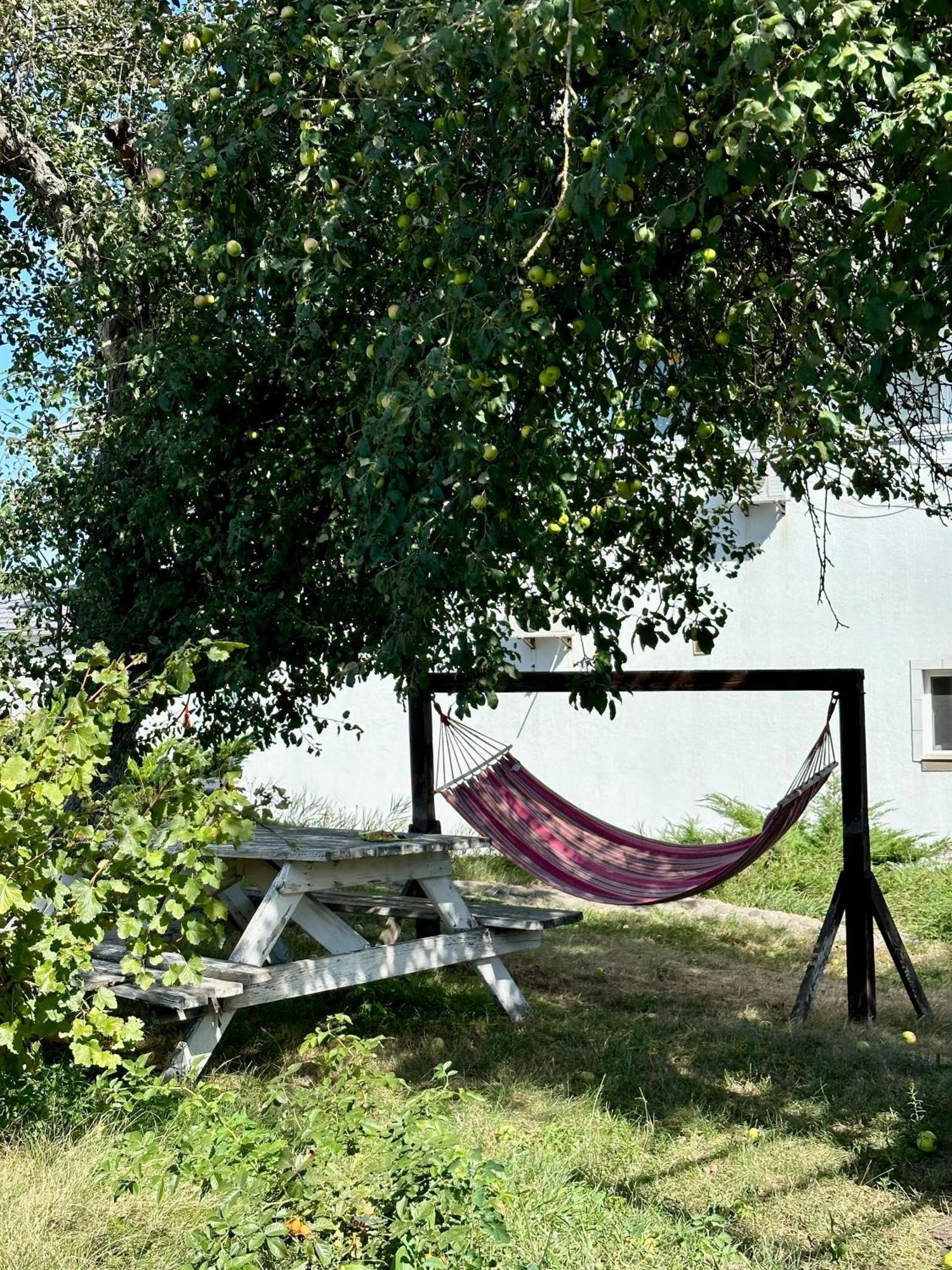Maison Blanche Ecohousе Mytnitsa Экстерьер фото